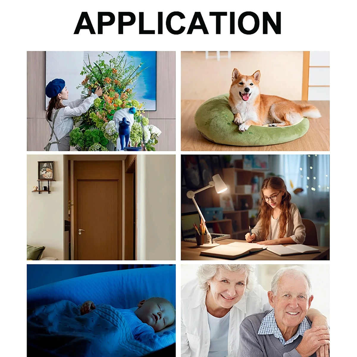Pet Camera Robot Companion Monitor WiFi Robot APP Remote Control for Dogs Cats Baby Monitor 2-Way Talk, Night Vision Movable
